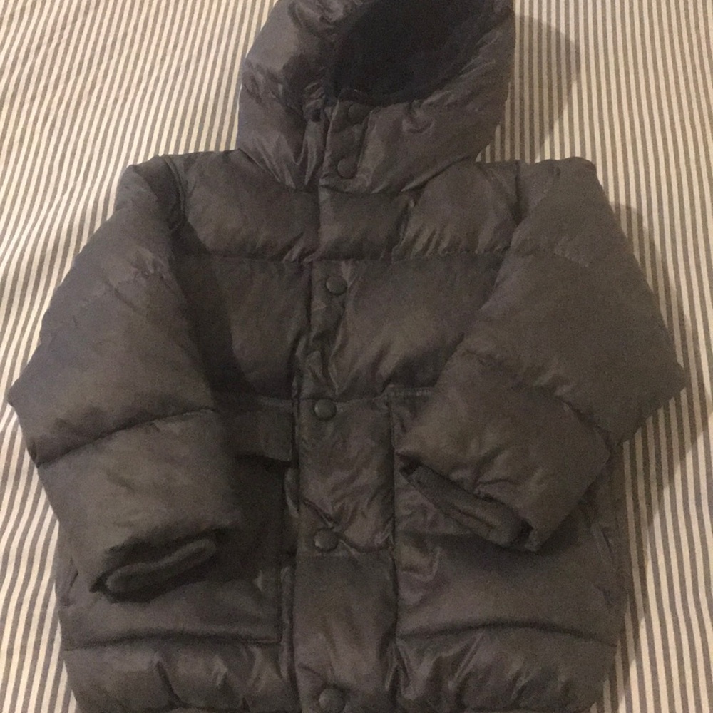 Crewcuts Puffer